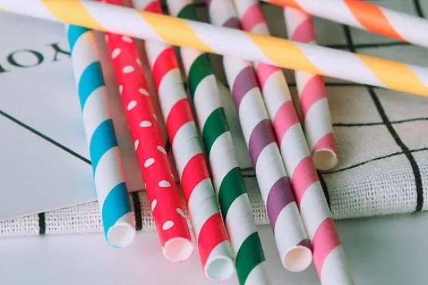 Sustainability Without Sacrifice: Soton’s Paper Straws Manufactory Model