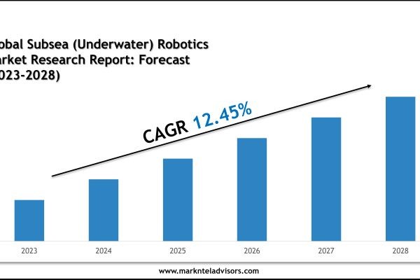 Subsea (Underwater) Robotics Market Companies, Share and Outlook Report 2028