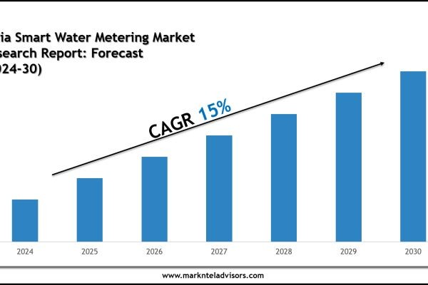 Top Companies in the India Smart Water Metering Market 2030
