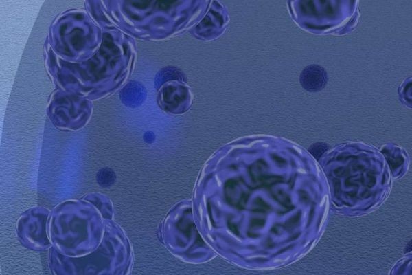 Comprehensive AAV Vector Design Services to Advance Gene Therapy Research