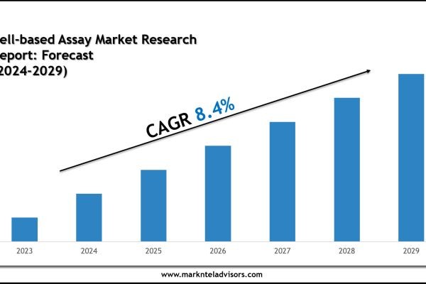 Cell-based Assay Market Size, Share, Trends & Forecast 2029