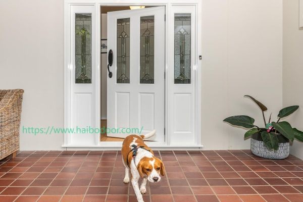 How Haibo Door Factory Shape the Look and Feel of Interiors