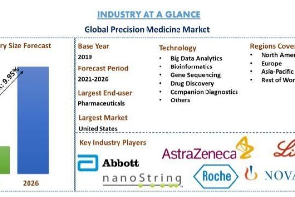 Precision Medicine Market Report, Size, Overview, Trends & Analysis 2026