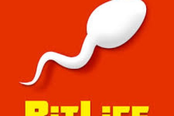 How to Play and Experience Store Management in BitLife