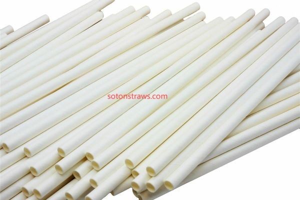 Soton's Green Blueprint: Sustainability in Our Straws Factory