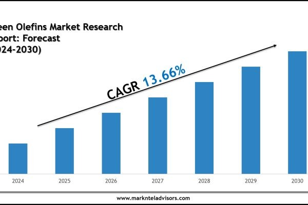 Top Companies in the Green Olefins Market 2030