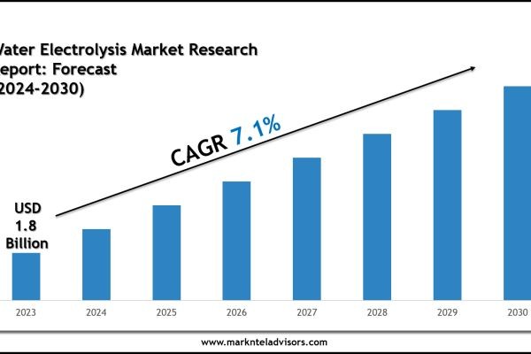 Water Electrolysis Market Growth, Scope & Key Opportunities 2030