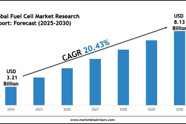 Fuel Cell Market Competitive Insights and Growth Report 2030