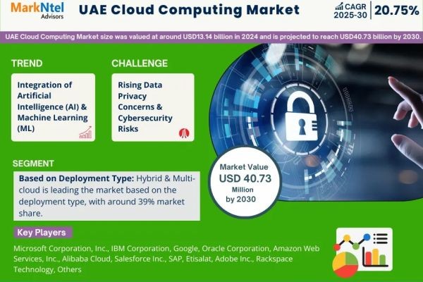Top Companies in the UAE Cloud Computing Market 2030
