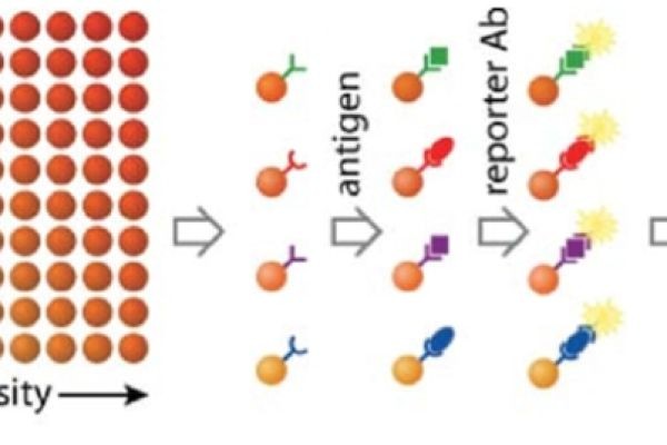 Beads Based Multiplex Assay for High-Throughput Biomarker Detection