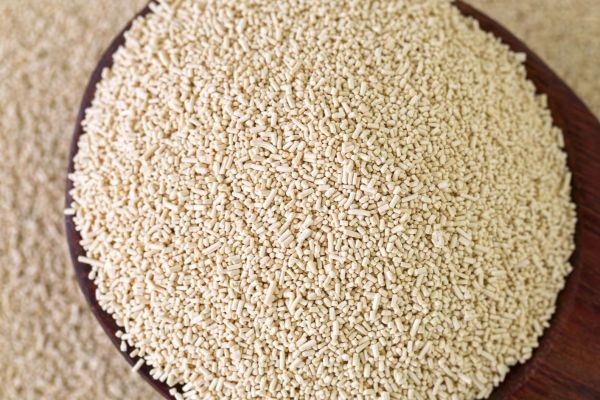 Compressed Yeast Market in Effective Strategies for Growth, Innovation, and Expanding Global Market Presence