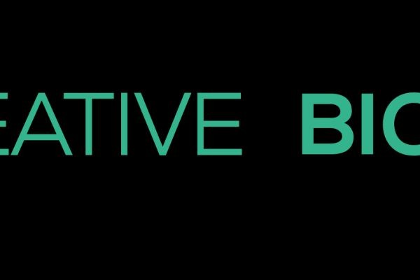 CCR1 Protein: A Chemokine Receptor at the Crossroads of Immunity and Disease