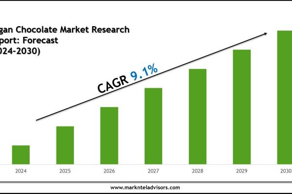 Plant-based Dairy Market Outlook 2030: Leading Companies & Growth Insights