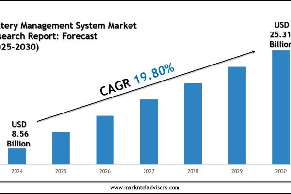 Battery Management System Market Forecast 2030: Emerging Trends