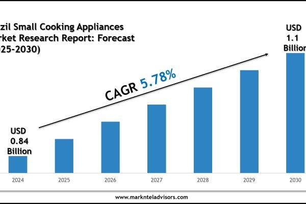 Brazil Small Cooking Appliances Market Outlook 2030: Leading Companies & Growth Insights