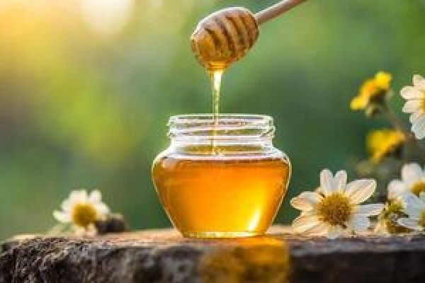 Manuka Honey Market Shifts: Building Trust and Innovation in Natural Health