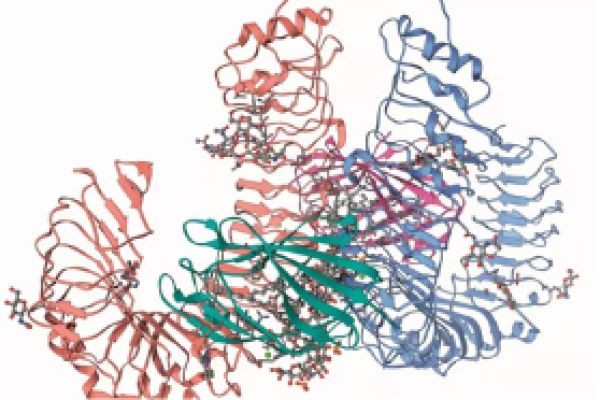Understanding Immune Checkpoints: How Cosibelimab-ipdl Enhances Cancer Treatment