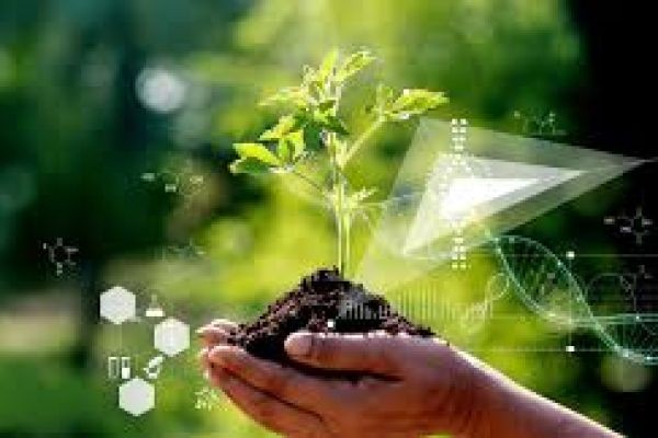 Plant Growth Regulators Market Growth Potential In Asia Pacific And European Markets
