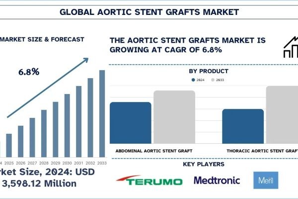Aortic Stent Grafts Market Report, Size, Overview, Trends & Analysis 2033