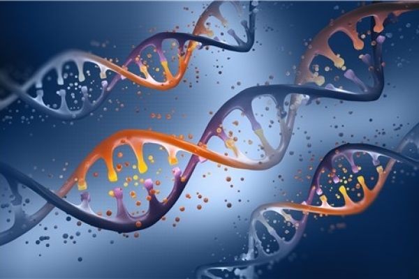 From Brucellosis to Tuberculosis: How Antibodies Are Changing the Game