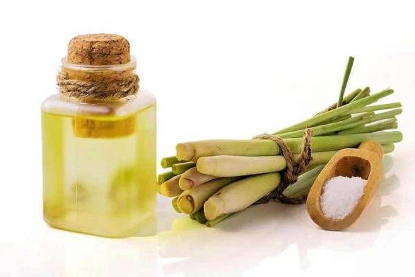 Citronella Oil Market Challenges: Production Limitations, Price Volatility, Regulatory Barriers, and Quality Standardization Issues