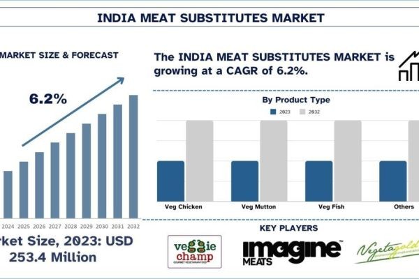 India Meat Substitutes Market Report, Size, Overview, Trends & Analysis 2032