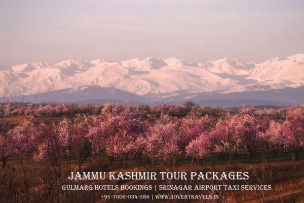 Kashmirs Tour Packages By Rover Travels