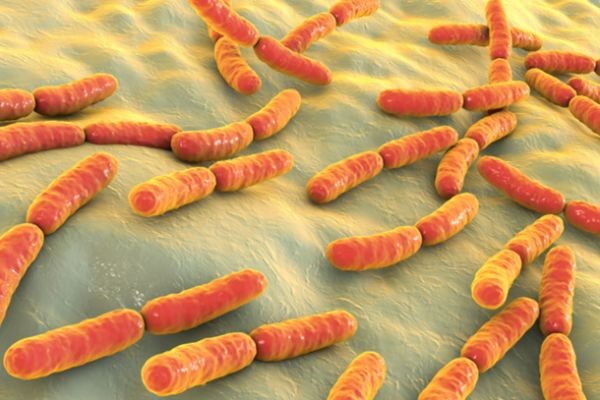 Smart Release Mechanisms for Next-Generation Probiotics