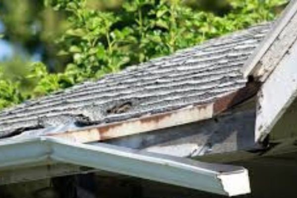 Expert Gutter Repair in Long Island – Protect Your Home from Hidden Water Damage