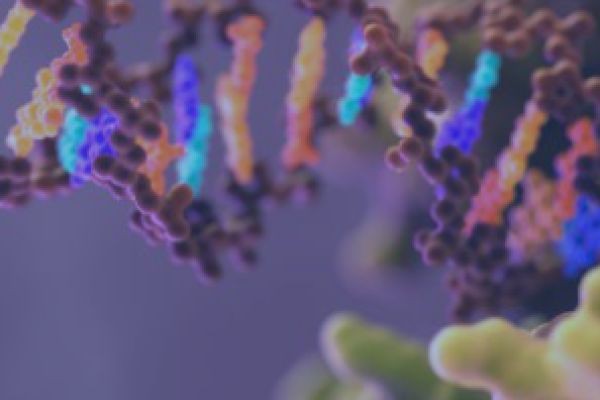 Bridging Innate and Adaptive Immunity: The Role of Complement System Evaluation