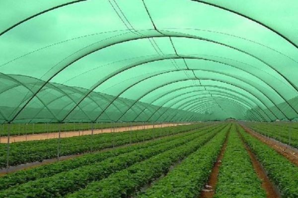 Agricultural textiles market dynamics driving growth and technological innovation globally
