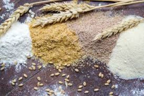 Functional Flour Market Distribution Channels, Supply Chain Management, and Logistics Optimization Report