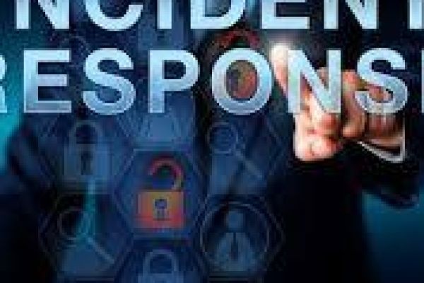 How Can Organizations Build an Effective Incident Response Plan?