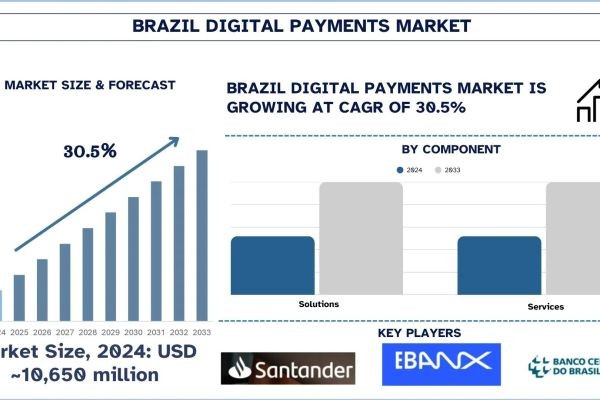 Brazil Digital Payments Market Size, Share, Growth & Research Report, 2033 | UnivDatos