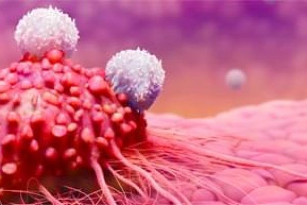 Rise of CIK Therapy: Accelerating the Future of Immuno-Oncology