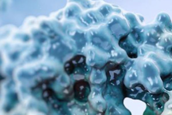 Precision Complement Testing: A Cornerstone of Modern Immunological Research