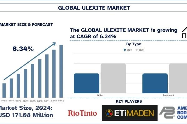 Ulexite Market Size, Share, Trends & Research Report, 2033 | UnivDatos