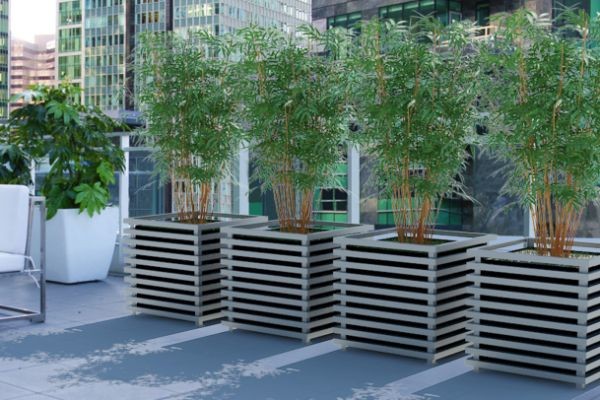 What Are the Benefits of Using Metal Planters in Vancouver
