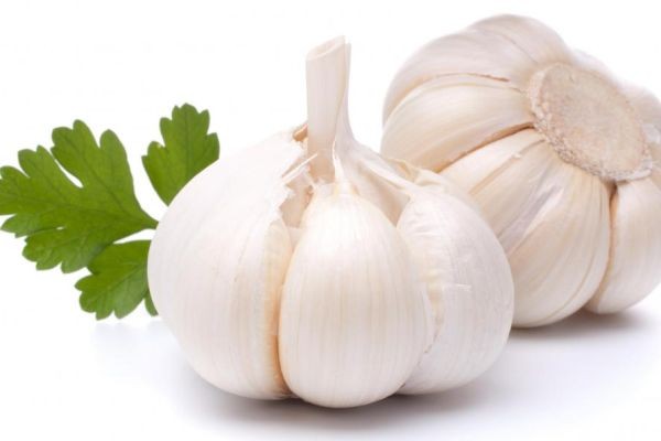 Garlic Market Insights Discussing Supply Chain Efficiency, Production Cost Management And Regional Market Strategies