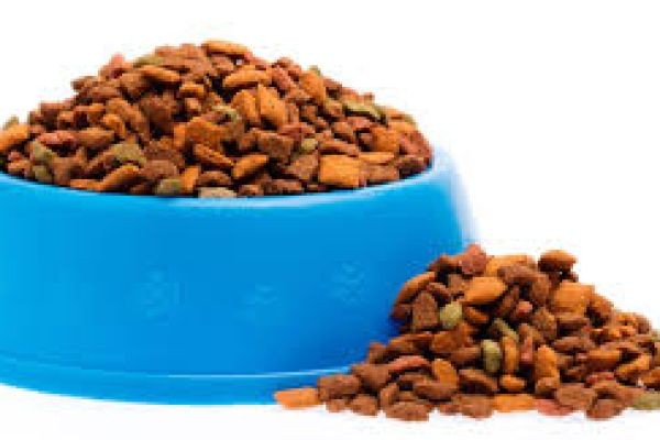 Pet Food Market Insights on Popular Pet Diets, Nutritional Supplements, and Functional Ingredients