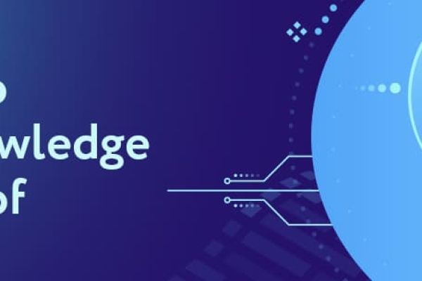 Confidential DeFi: How ZKP Company is Transforming Finance