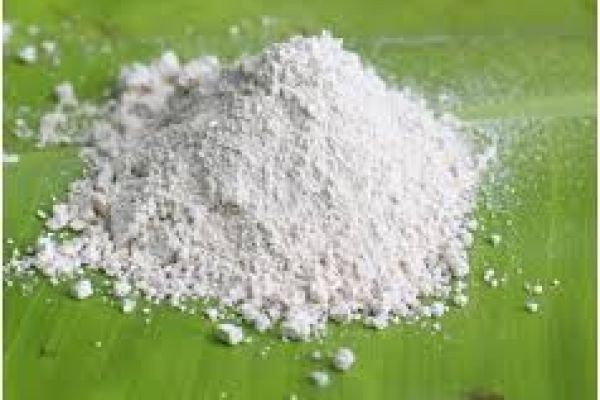 Silicon Fertilizers Market research highlighting shifting consumer preferences toward eco-friendly agrochemicals