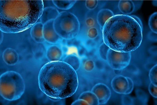 iPSC Technology: Paving the Way for Patient-Specific Neurological Therapies