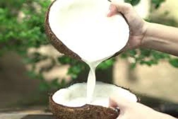 Coconut Milk Market Expands With Rising Global Shift Toward Natural Ingredients And Healthy Living Trends