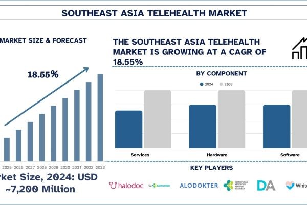 Southeast Asia Telehealth Market Size, Share, Trends & Research Report, 2033 | UnivDatos