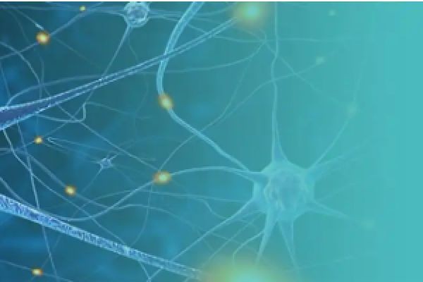 Neuroscience Research Propel Breakthroughs in Neurological Therapies