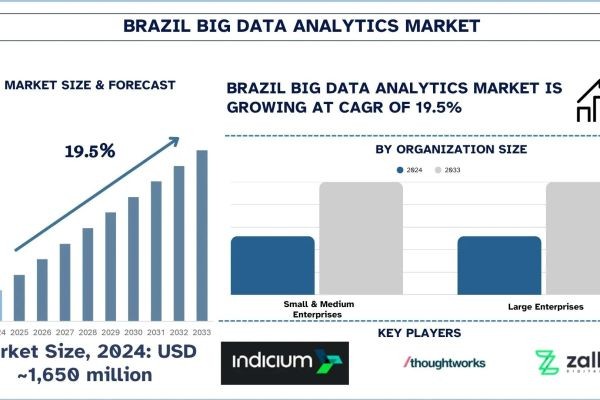 Brazil Big Data Analytics Market Size, Share, Growth & Research Report, 2033 | UnivDatos