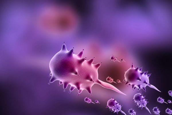 Beyond Herbal Extracts: Why Centella asiatica Exosomes Are the Future of Natural Skincare