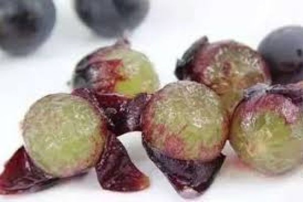 Grape Skin Extract Market Witnesses Robust Growth With Expanding Applications In Nutraceuticals And Cosmetic Industries