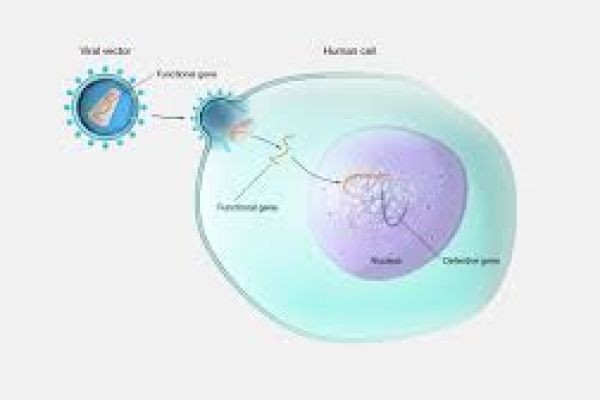 Gene Therapy Market research emphasizing advancements in viral vector and non-viral delivery systems